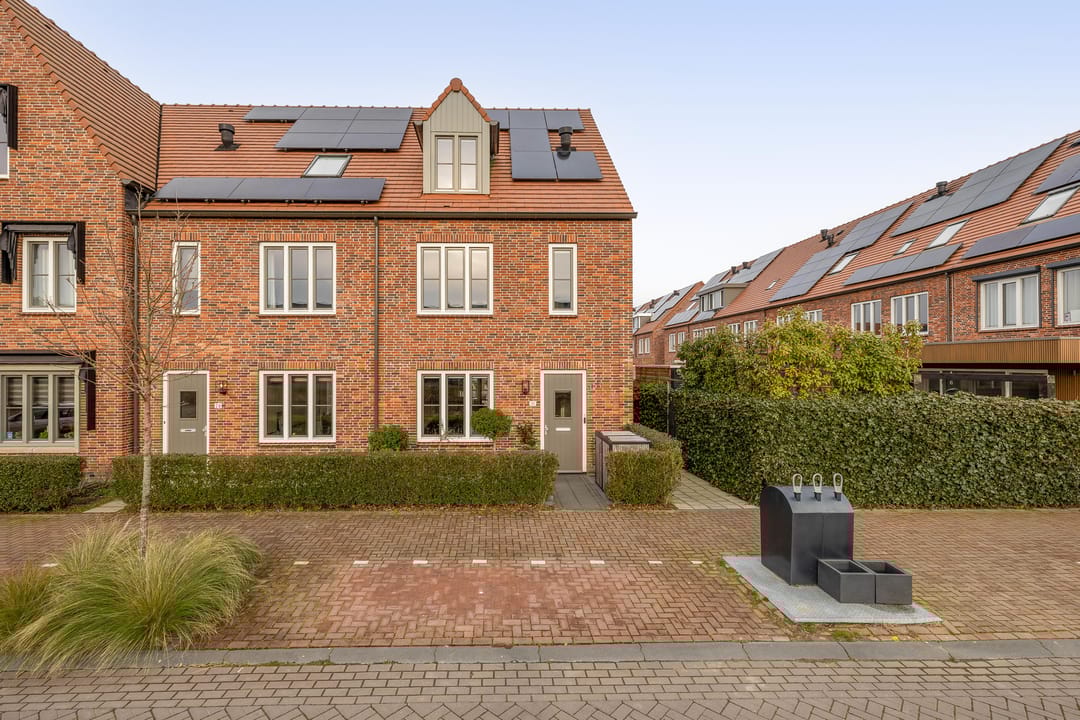 Foto 7 van Palissanderhout 28