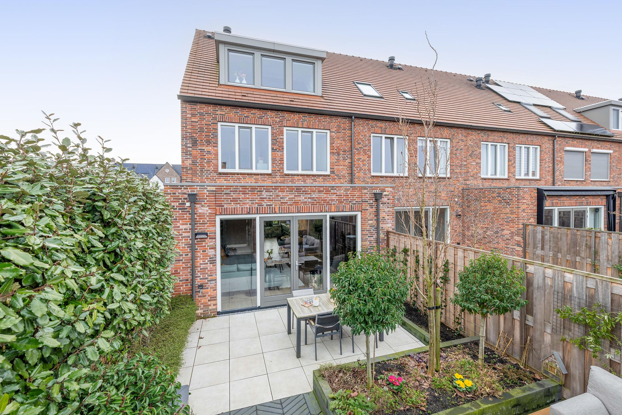 Foto 21 van Palissanderhout 28