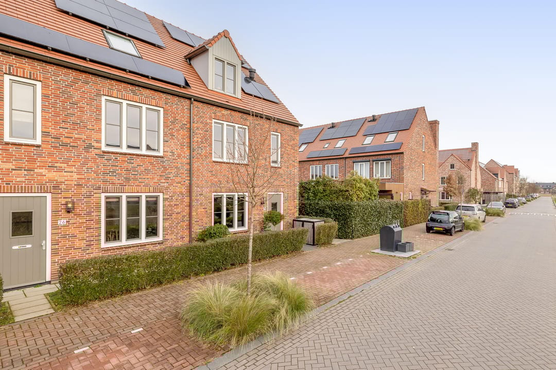 Foto 38 van Palissanderhout 28