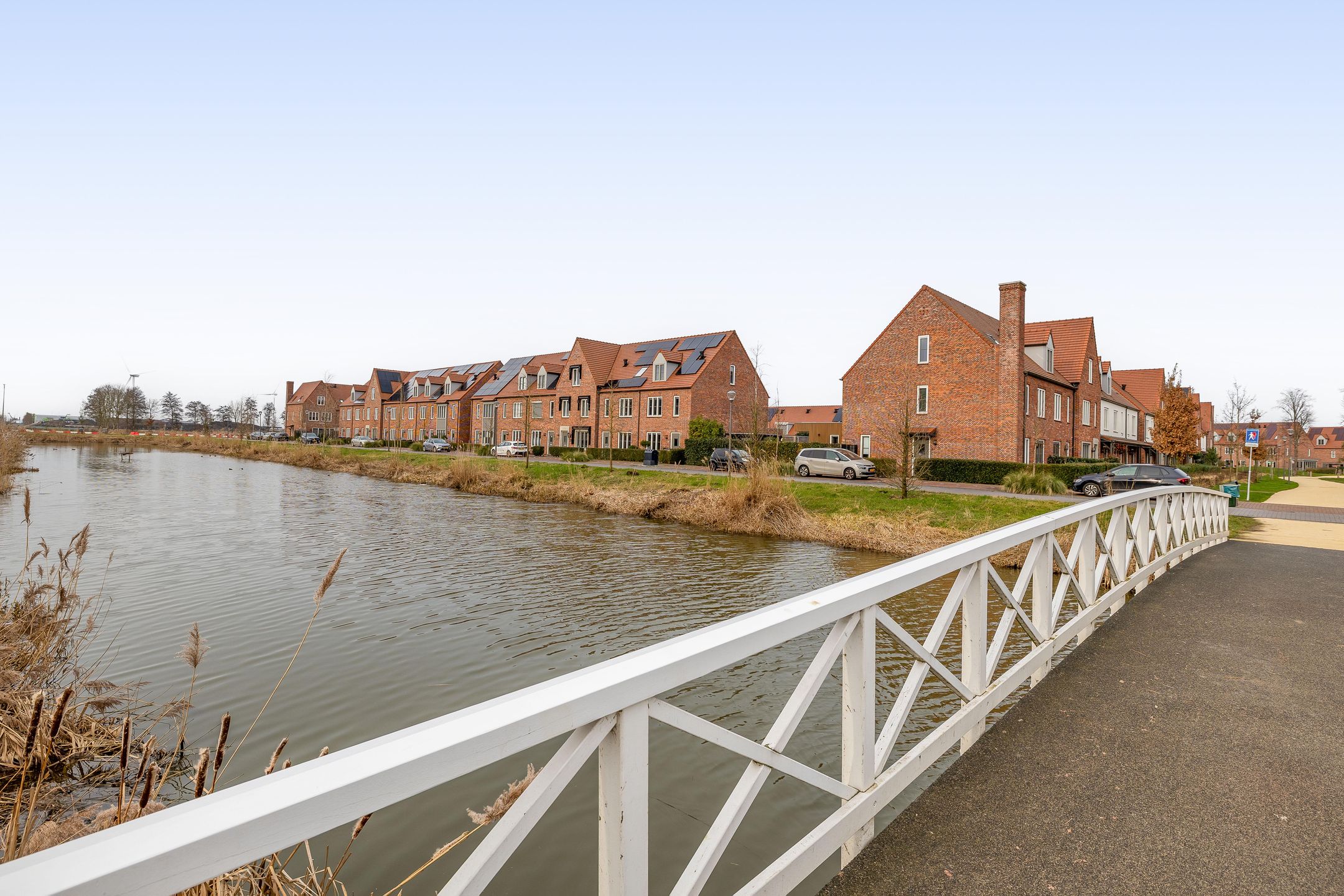 Foto 39 van Palissanderhout 28