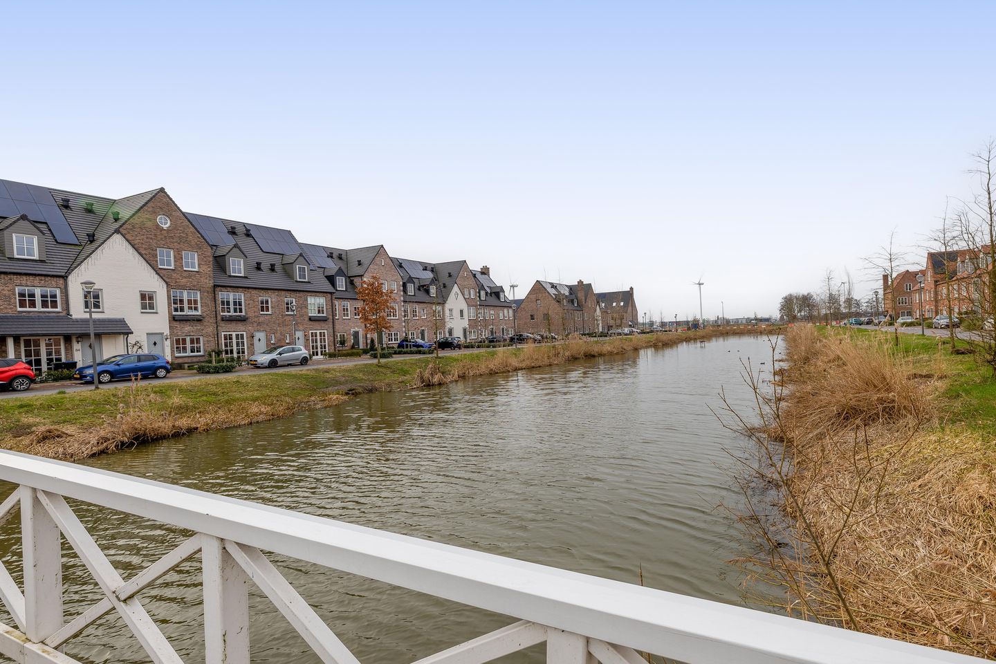 Foto 40 van Palissanderhout 28