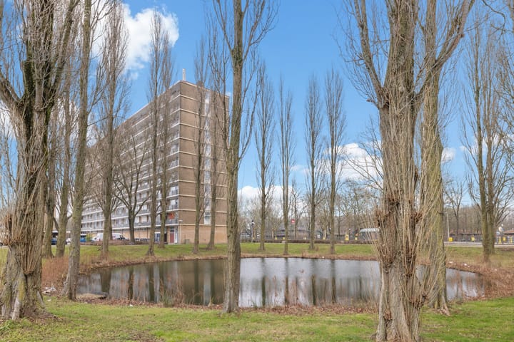 Photo 5 of Livingstonelaan 782