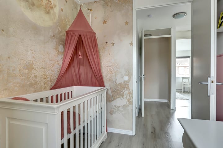 Photo 20 of Fregat 13