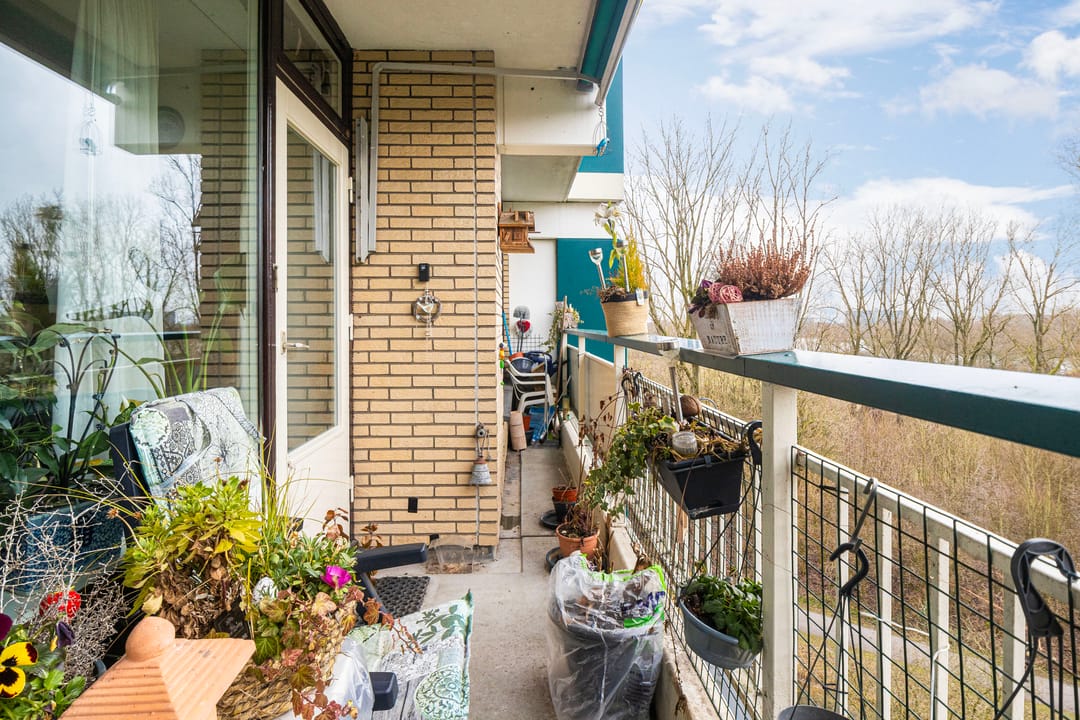 Foto 17 van Groningensingel 555