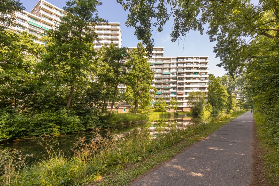 Foto 43 van Groningensingel 555