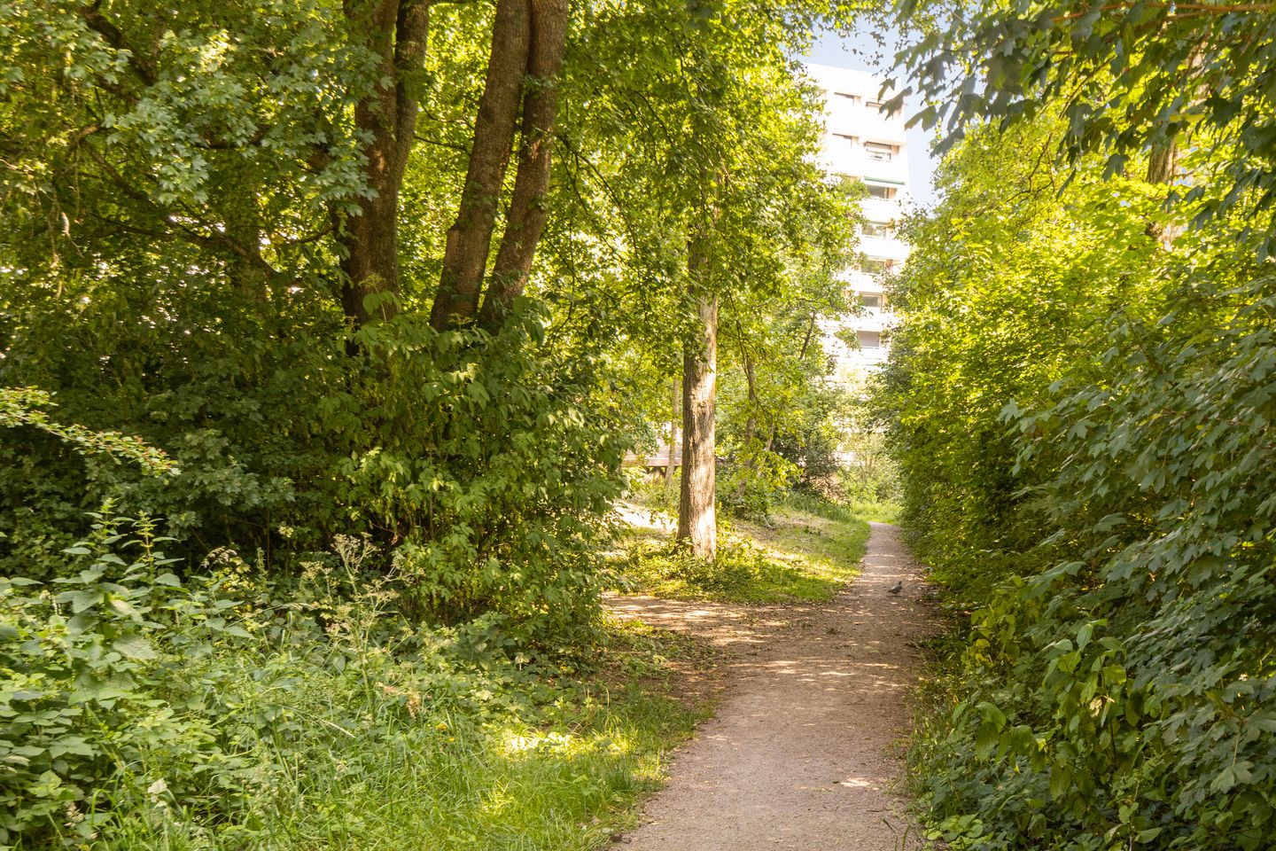 Foto 44 van Groningensingel 555