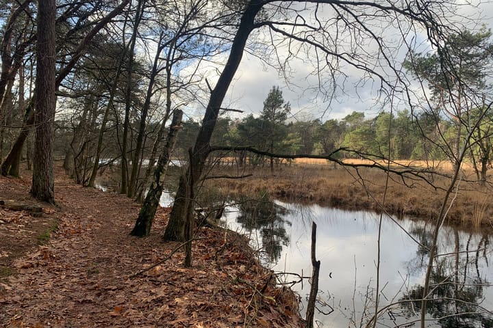 Foto 38 van Burgemeester Uijenstraat 33