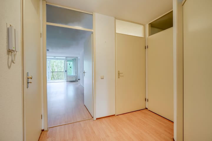 Foto 4 van Ravellaan 252