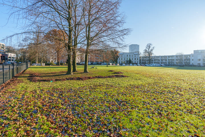 Foto 34 van Ravellaan 252