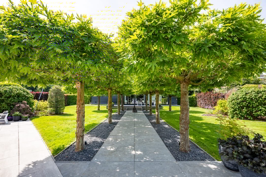 Foto 71 van Ludenbos 27