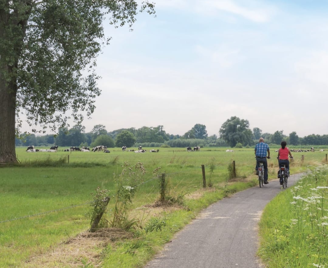 Foto 5 van Voorsterhove, Voorst