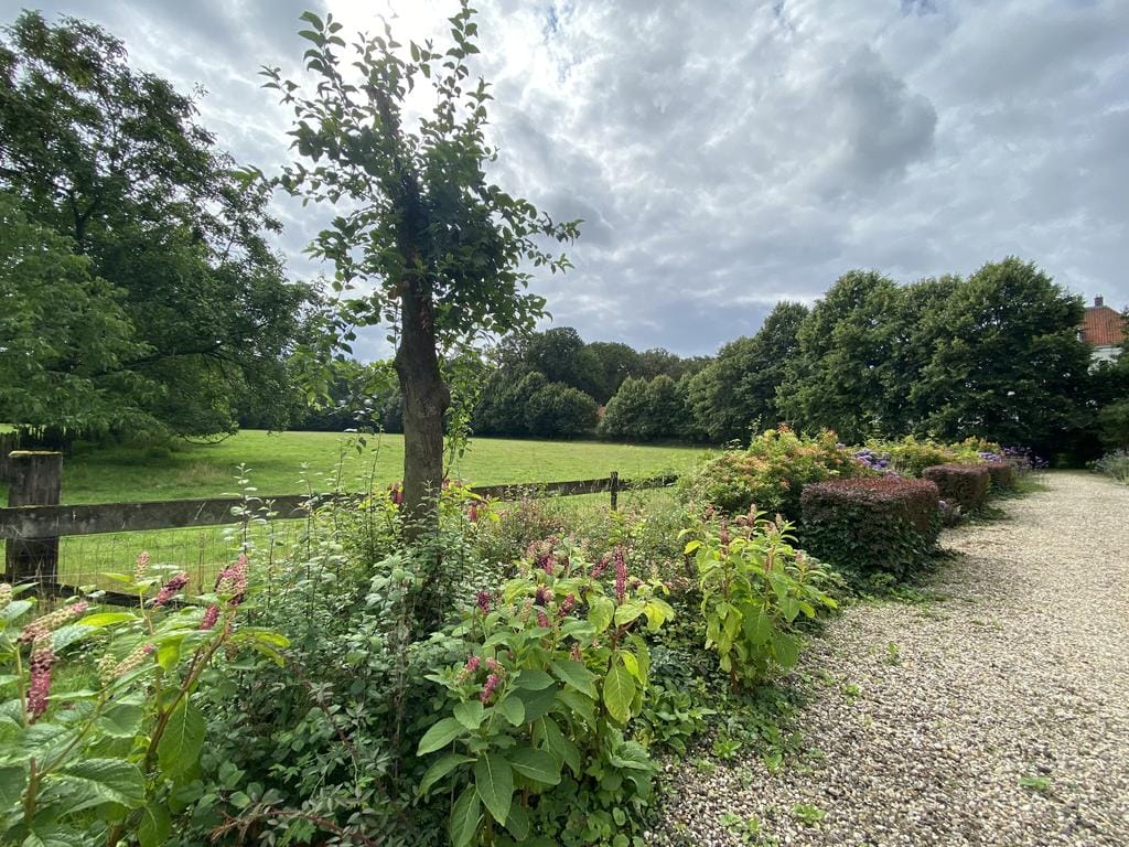 Foto 22 van Waaldijk 50