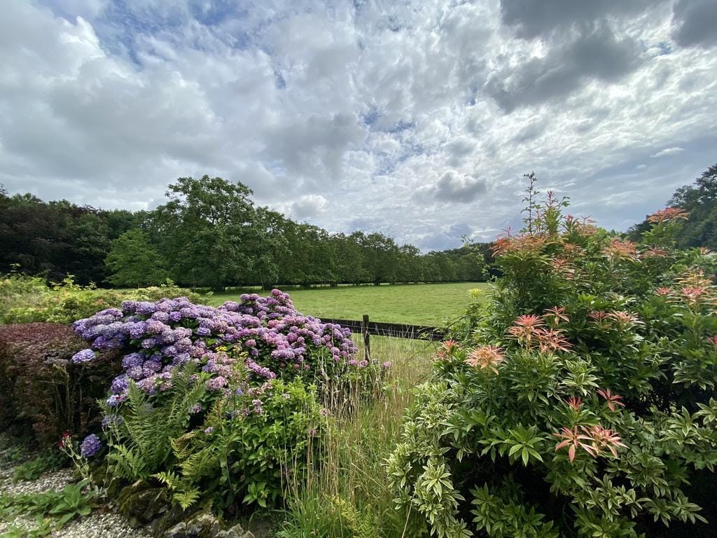 Foto 25 van Waaldijk 50