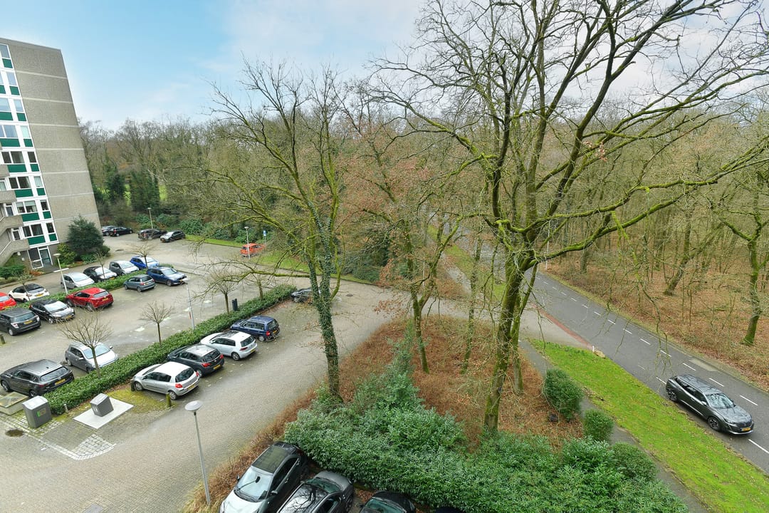 Foto 23 van Koningsberg 20