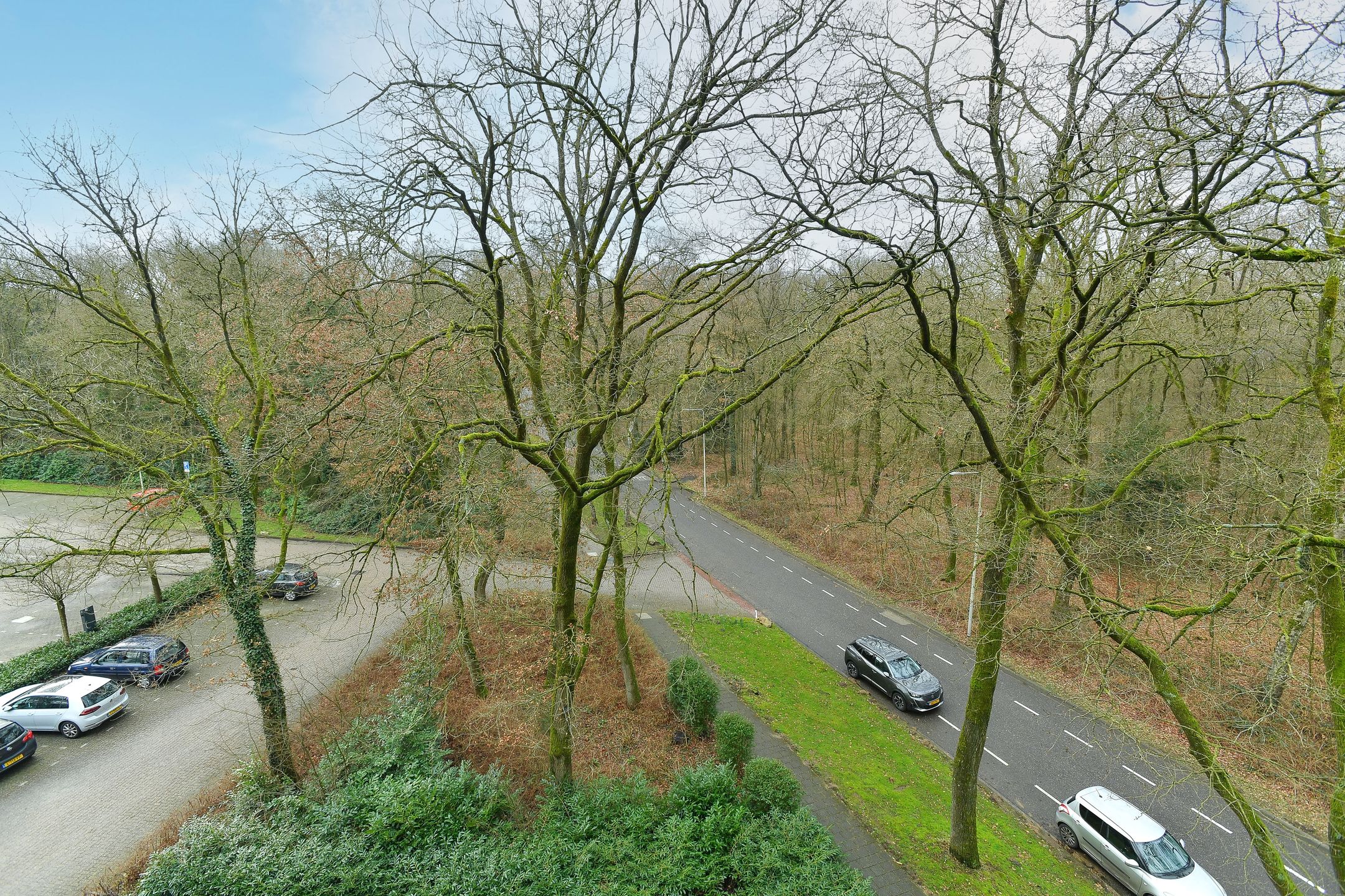 Foto 24 van Koningsberg 20