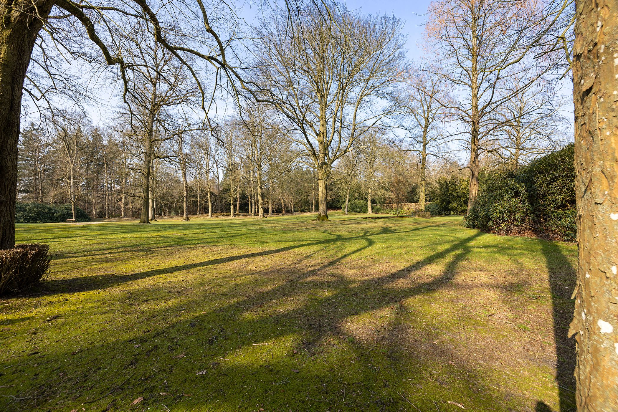 Foto 9 van Hoofdstraat 9