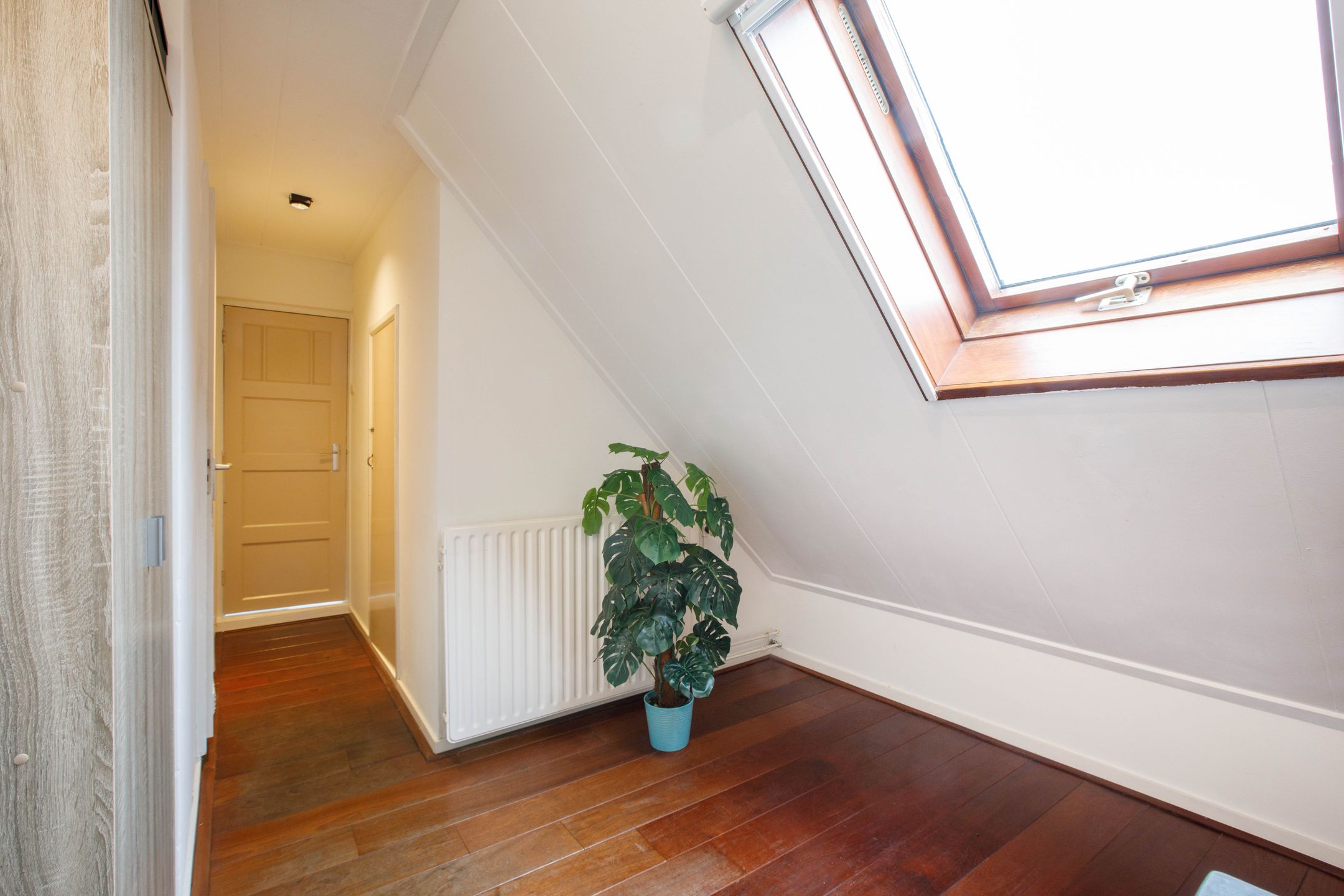 Foto 24 van Hogedijk 100