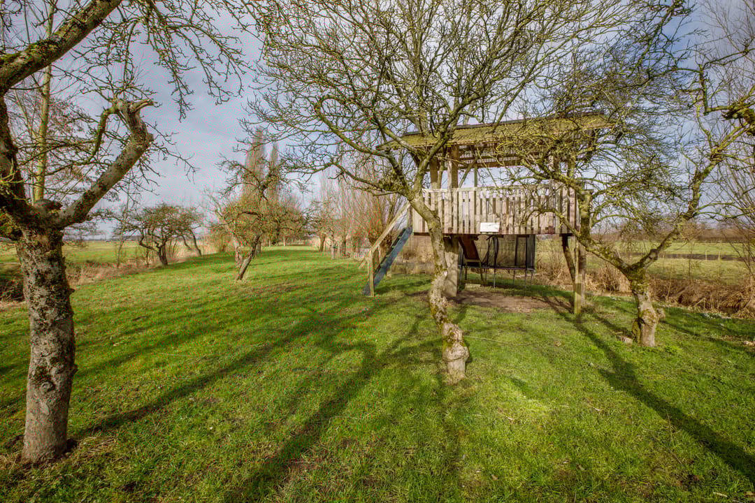 Foto 47 van Hogedijk 100