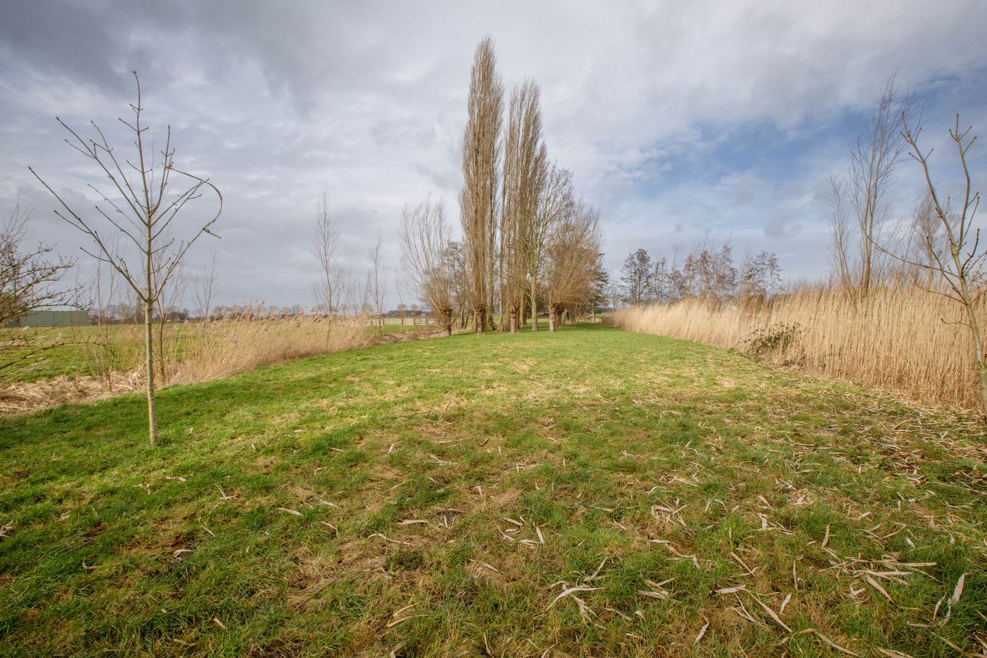 Foto 50 van Hogedijk 100