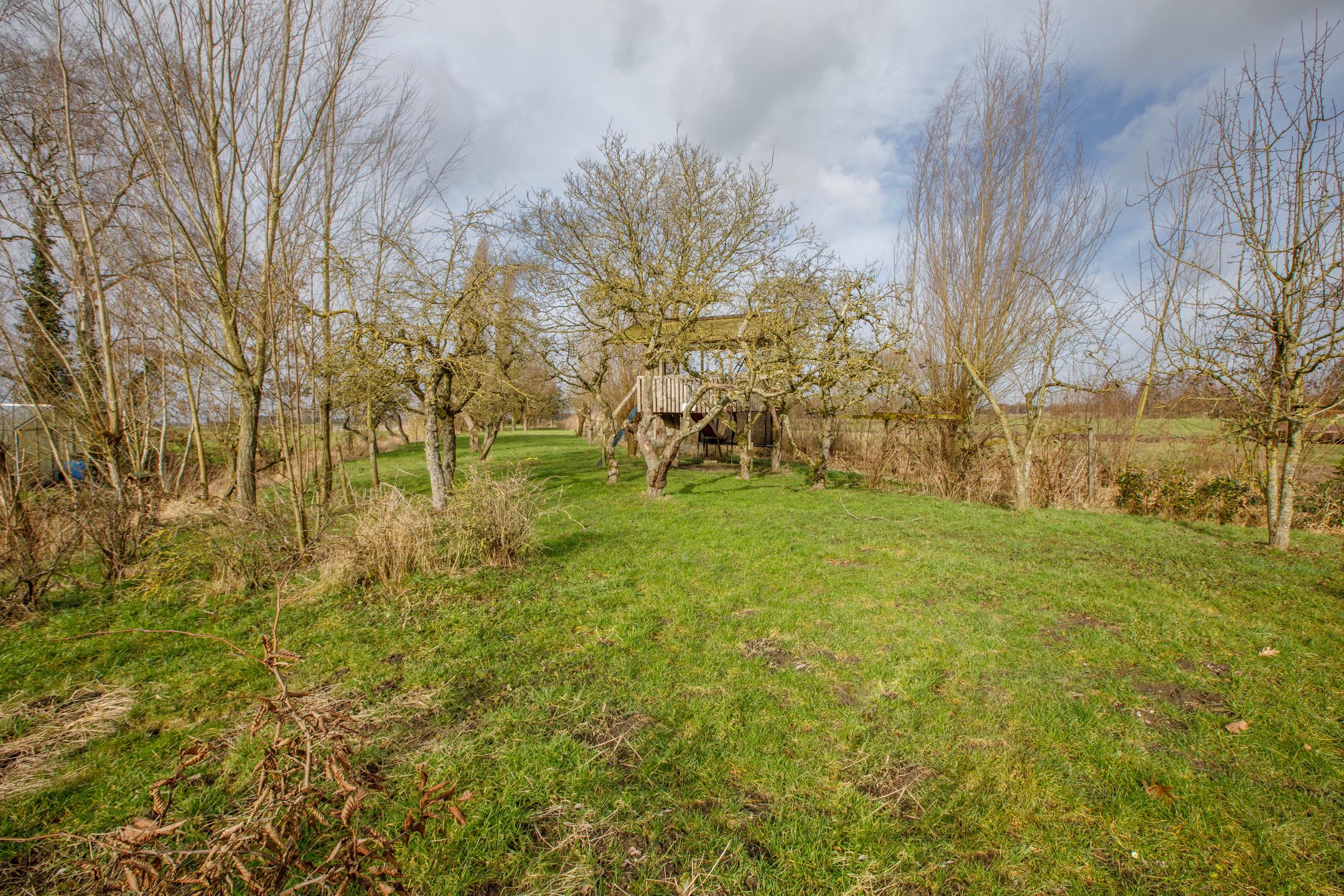 Foto 51 van Hogedijk 100