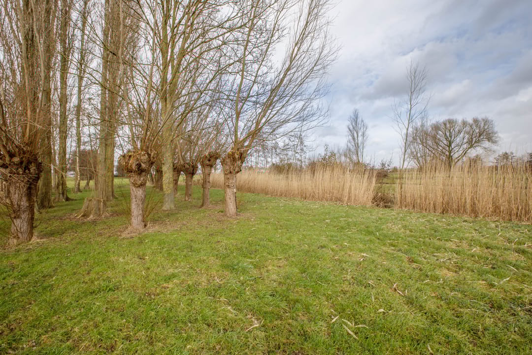 Foto 53 van Hogedijk 100