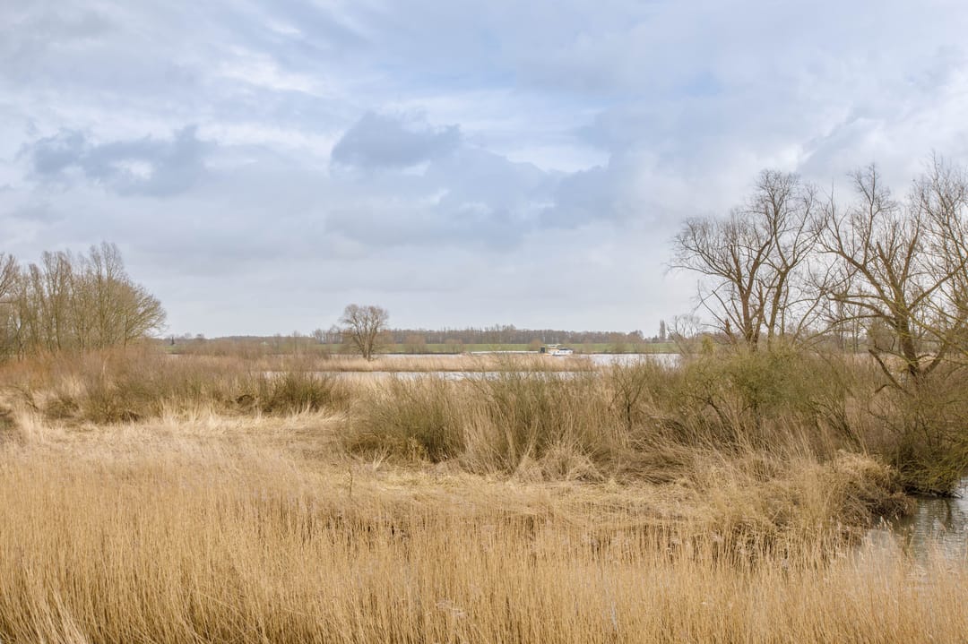 Foto 62 van Hogedijk 100