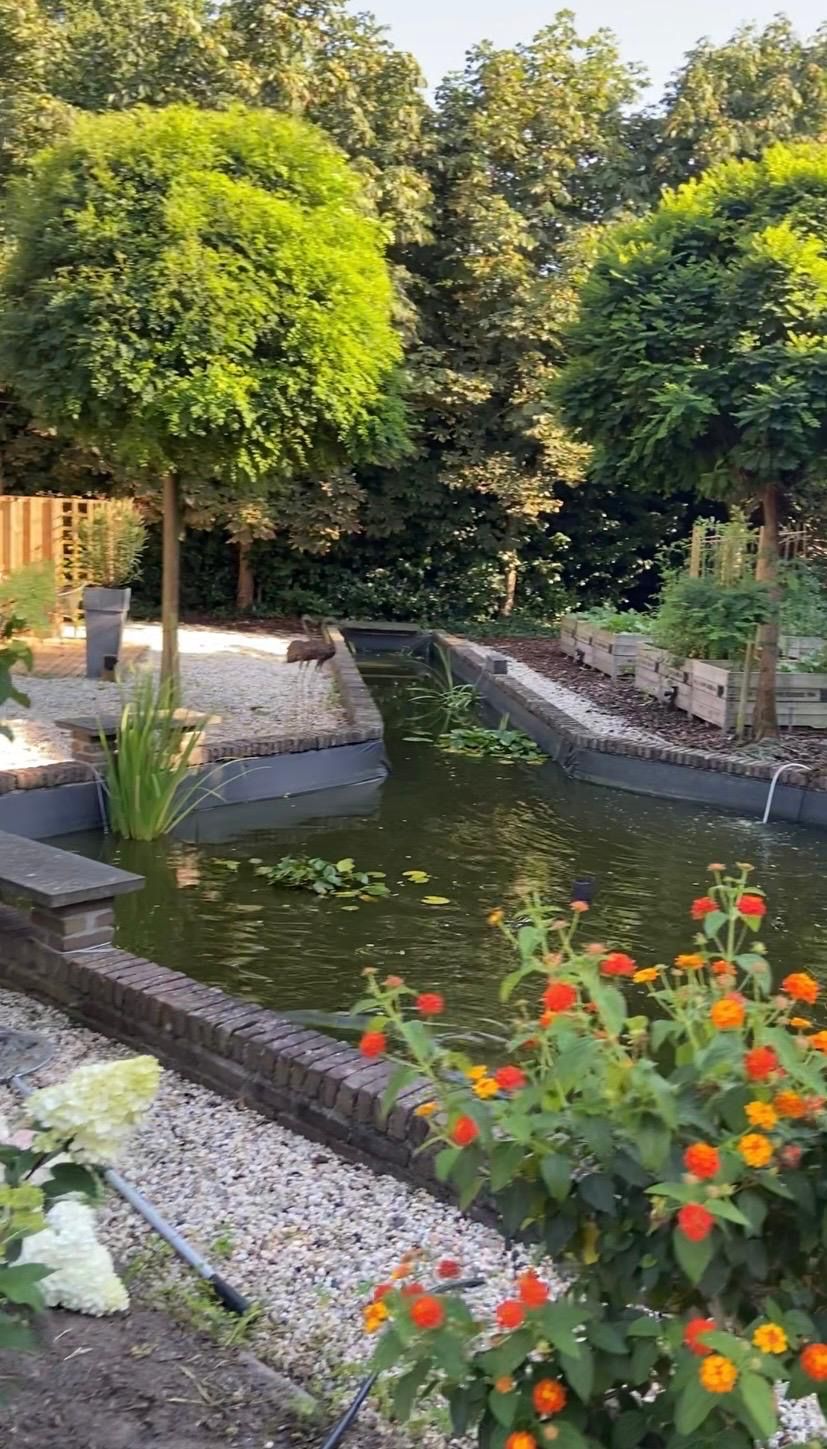 Foto 85 van Wezenland 8