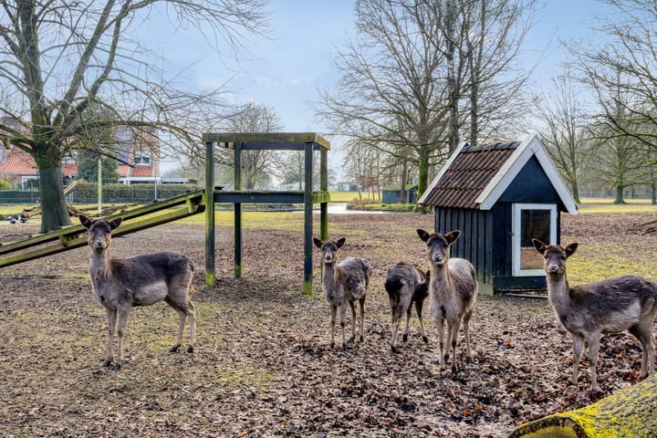 Foto 49 van Ir. Mentropweg 27