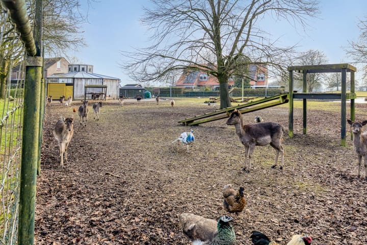 Foto 50 van Ir. Mentropweg 27