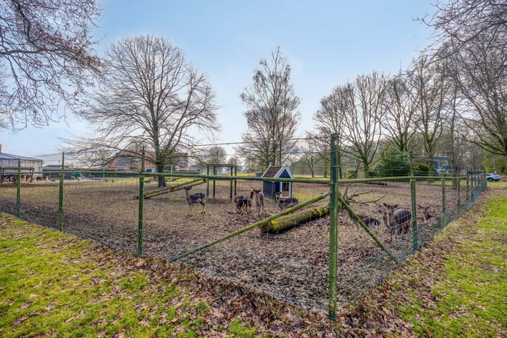 Foto 51 van Ir. Mentropweg 27