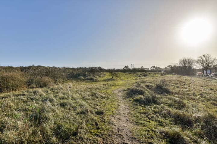 Foto 29 van Galileistate 25