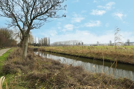 Seringenplantsoen 441 tertiary image