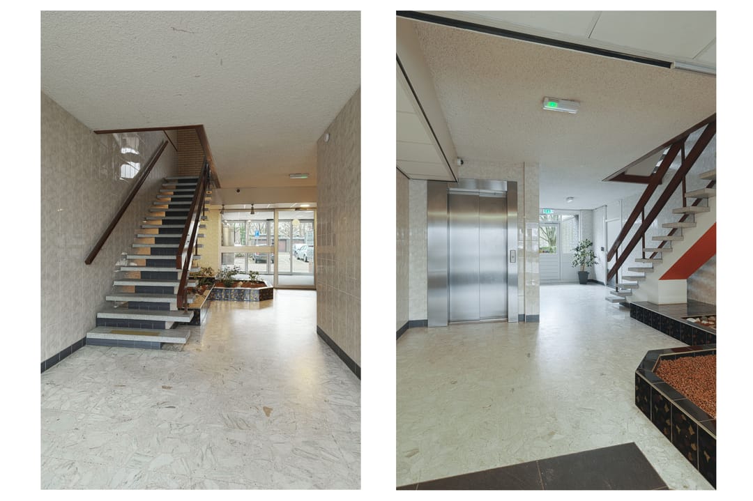 Foto 7 van Seringenplantsoen 441