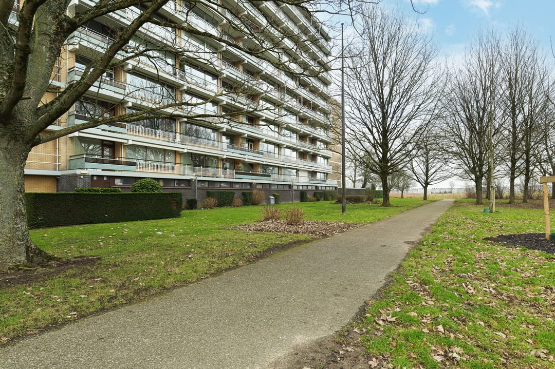 Foto 23 van Seringenplantsoen 441