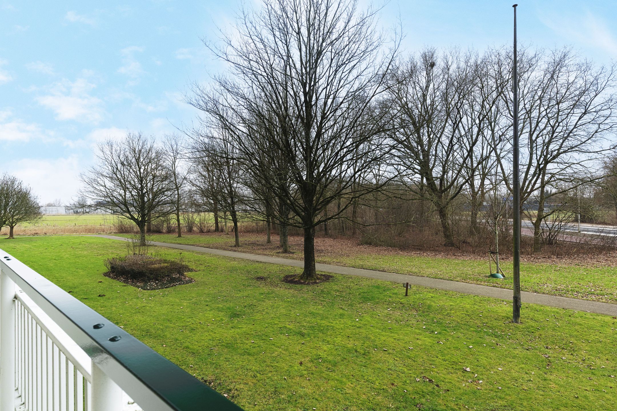 Foto 24 van Seringenplantsoen 441