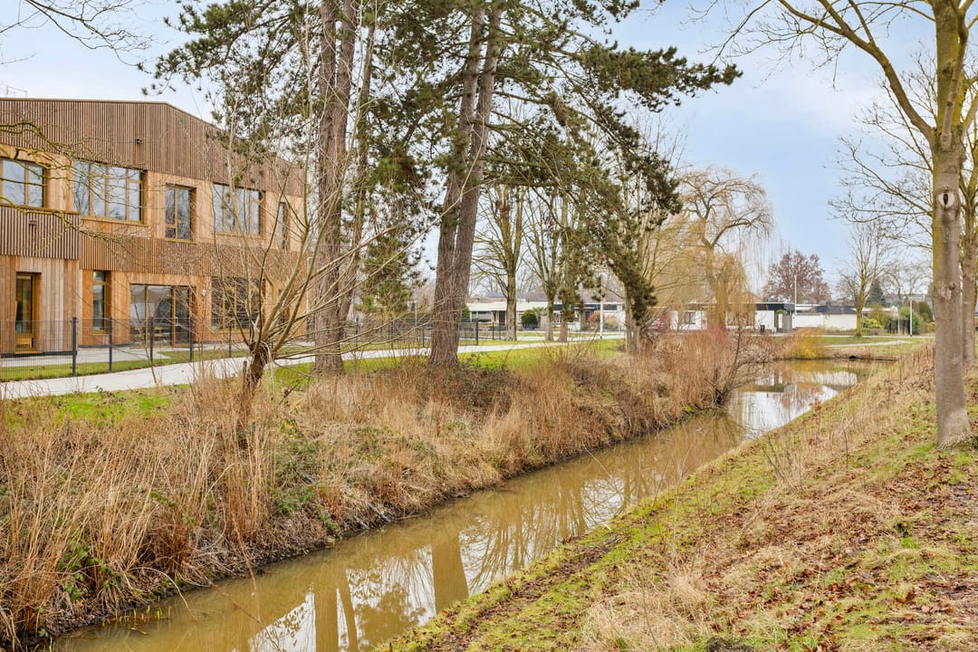 Photo 37 of Gerard Terborghstraat 10