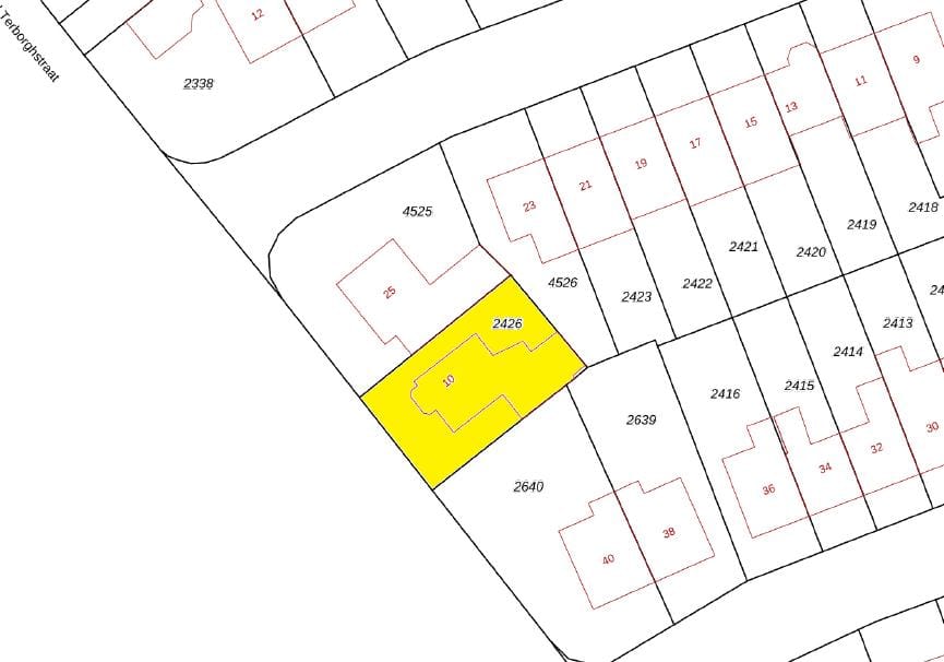 Photo 43 of Gerard Terborghstraat 10