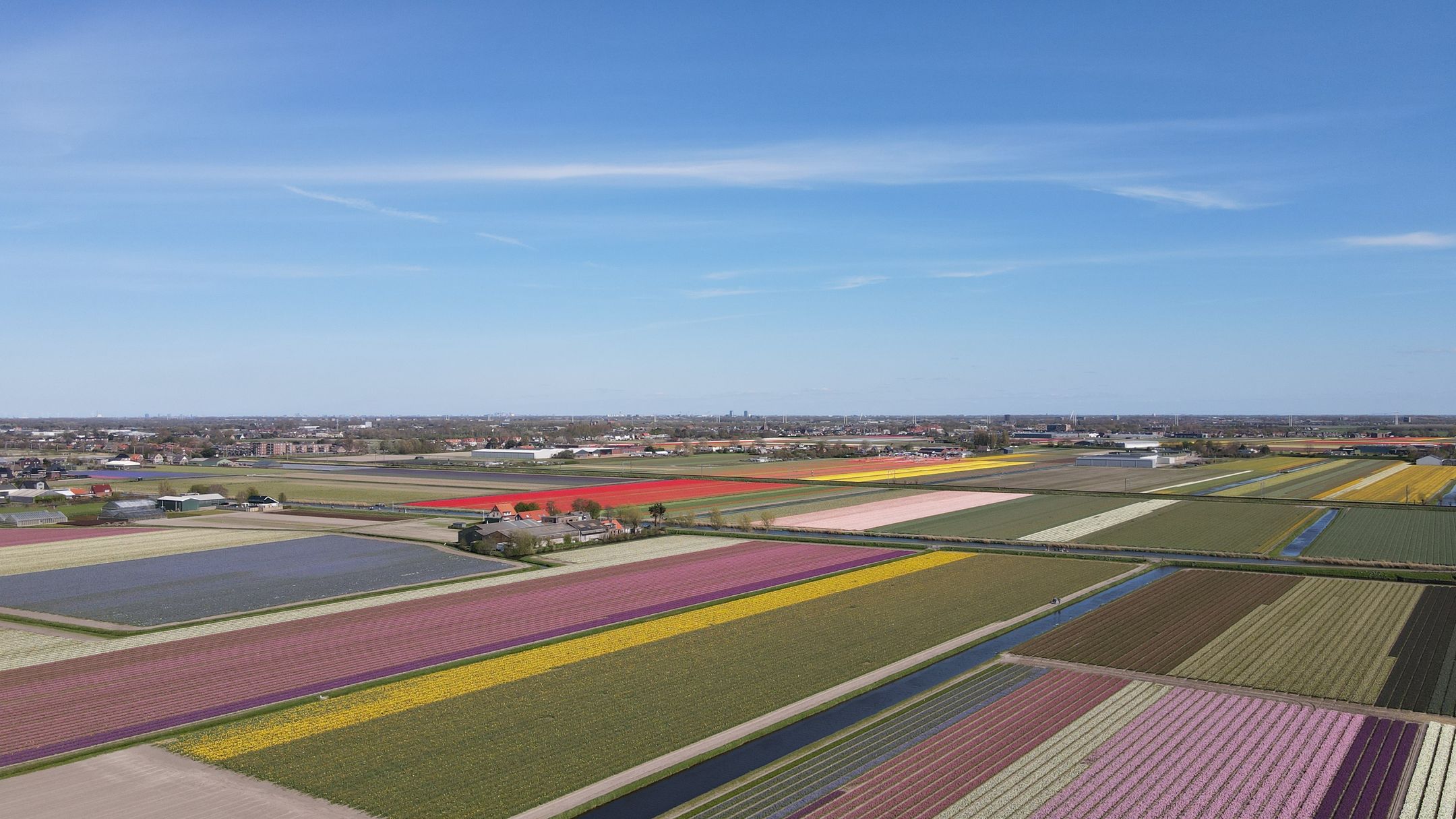 Foto 3 van Zuider Leidsevaart 22