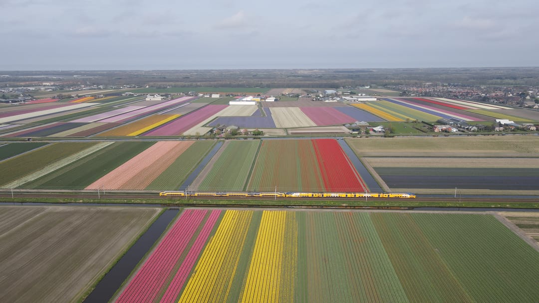 Foto 43 van Zuider Leidsevaart 22