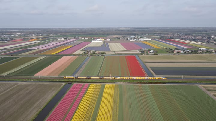 Foto 43 van Zuider Leidsevaart 22