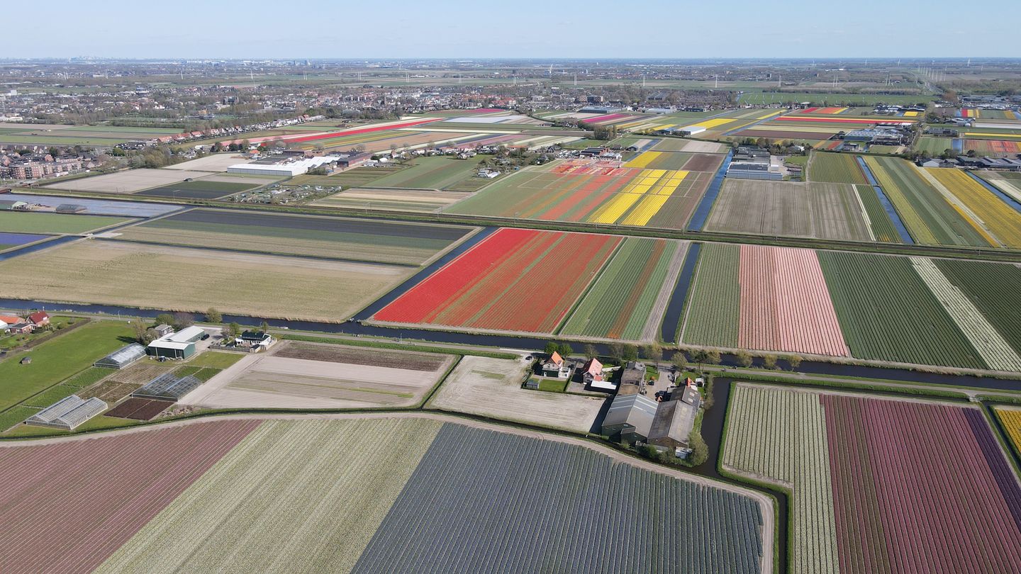 Foto 44 van Zuider Leidsevaart 22