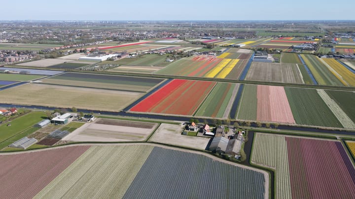 Foto 44 van Zuider Leidsevaart 22