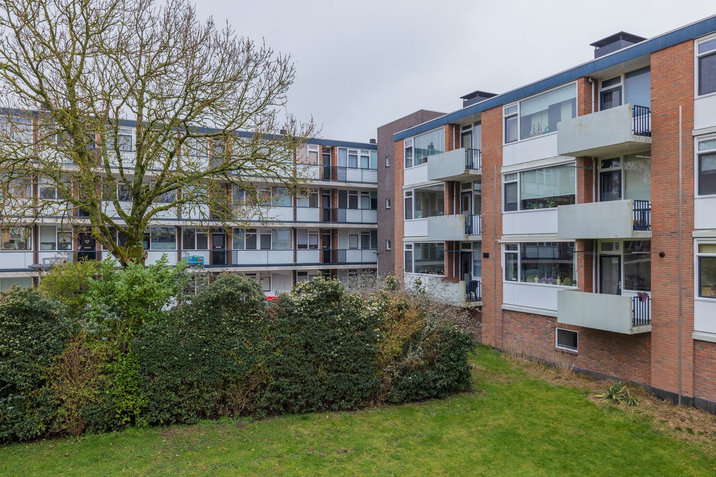 Photo 1 of Faleriolaan 169