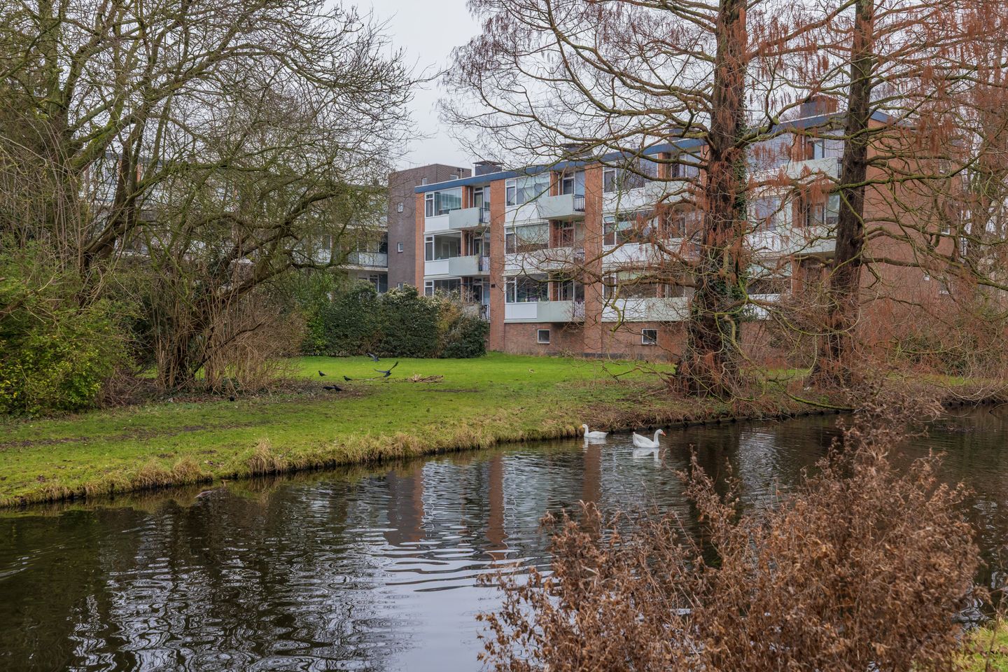 Foto 4 van Faleriolaan 169