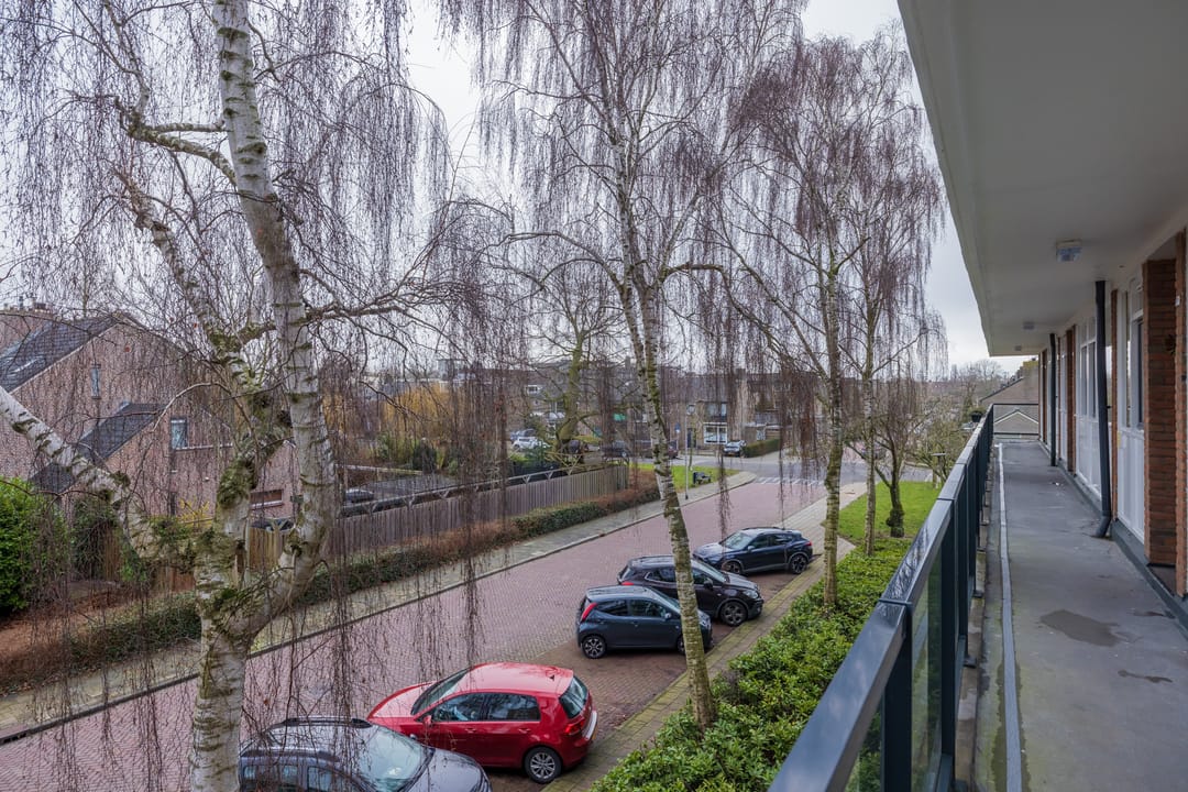 Foto 7 van Faleriolaan 169