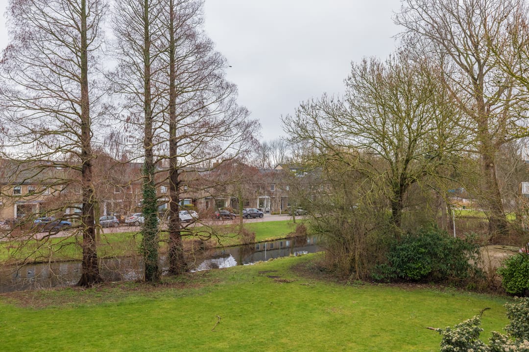 Foto 26 van Faleriolaan 169