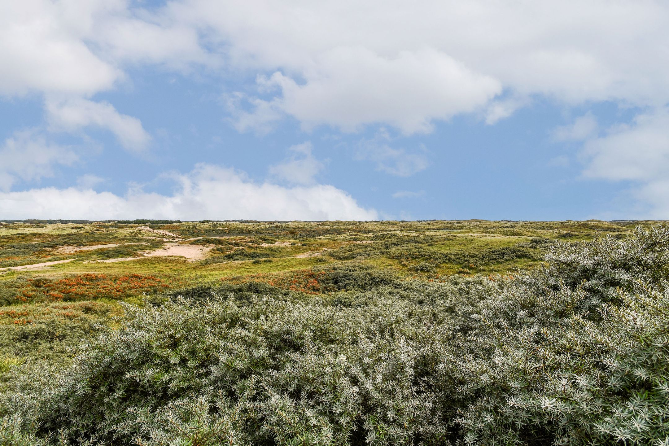 Foto 51 van Oosterparkstraat 19