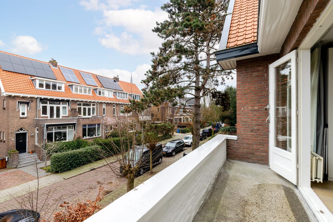 Foto 38 van Willem Nagellaan 29