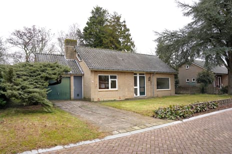 undefined main image