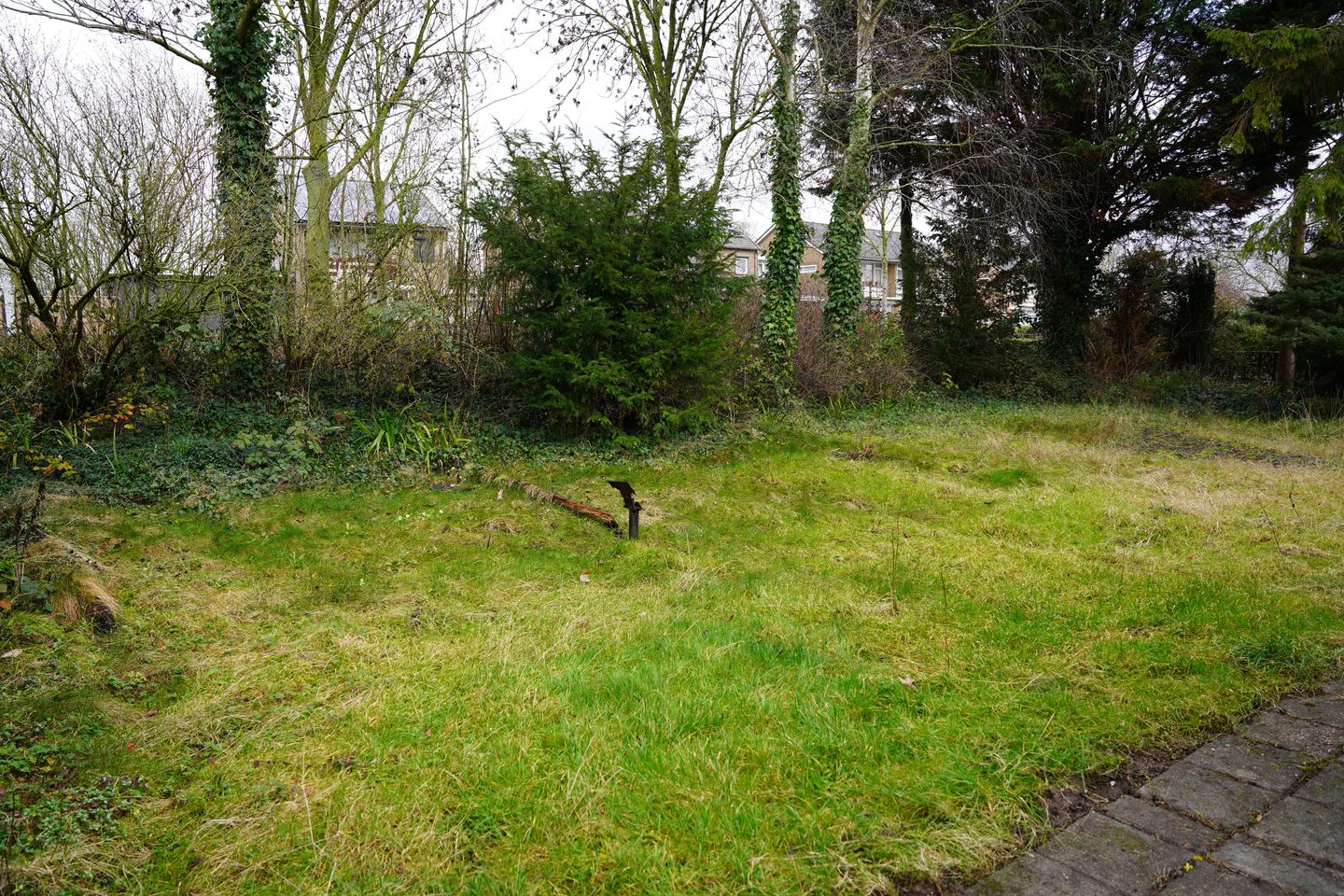 Foto 44 van 't Schuttebocht 23